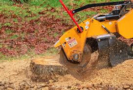 Lawn Grading and Leveling in Timberwood Park, TX